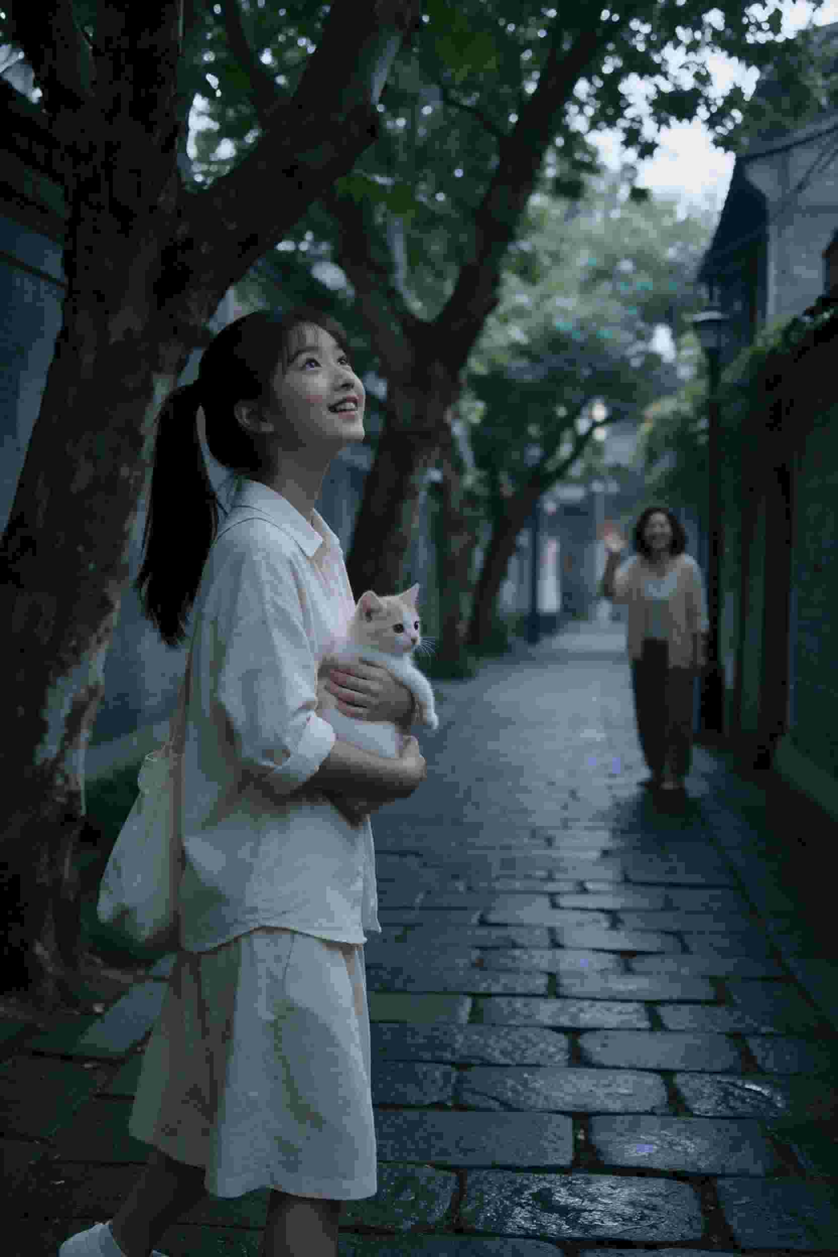 机密档案